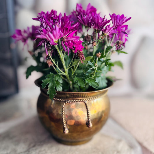 Vintage Hammered Brass Pot with Rope Detail: Boho Planter Bowl